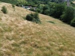 Images for LAND FOR AUCTION - Station Road, Wickwar